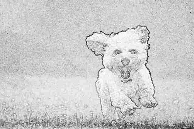 Imagen de un perro corriendo, representada en blanco y negro.