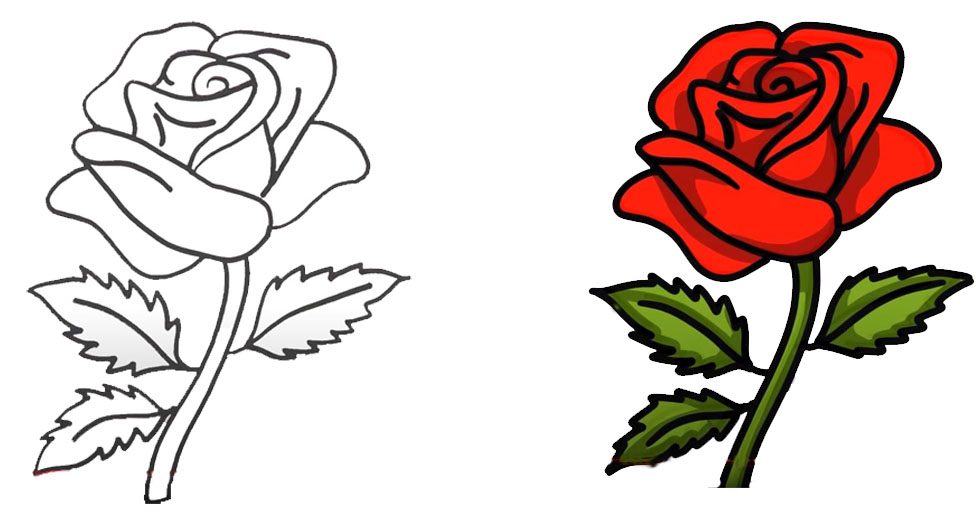 Una página para colorear que presenta un dibujo lineal simple de una rosa y hojas.