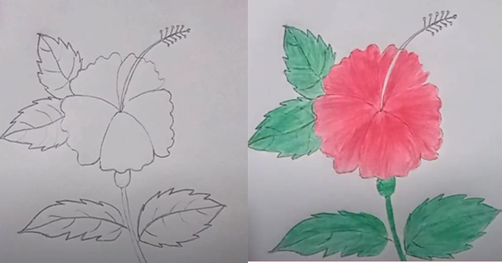 Aprende a dibujar una flor de caléndula en unos sencillos pasos.