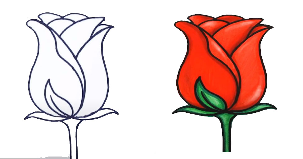 Step by step guide on drawing a rose, part of a bouquet of flowers drawing