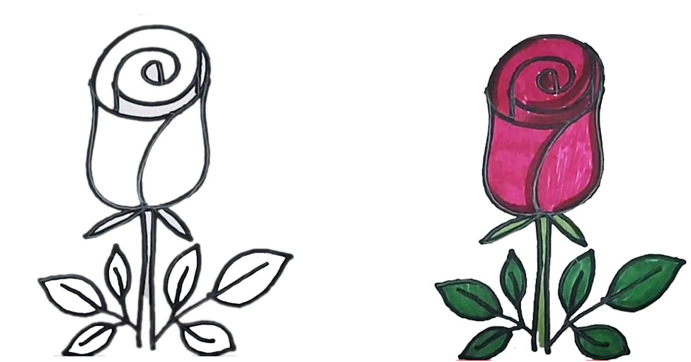 Tutorial sencillo sobre cómo crear un dibujo de rosa con lápiz, ideal para quienes practican bocetos florales.