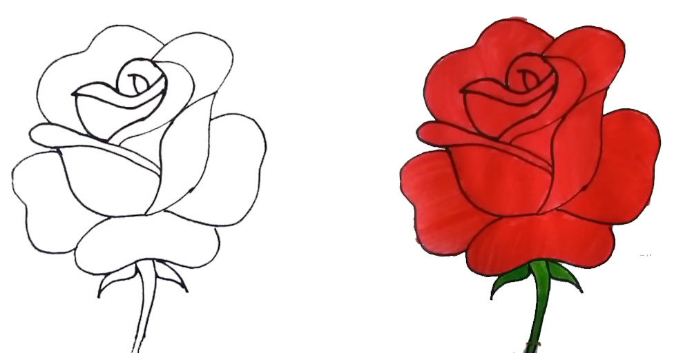 Imagen de una rosa para colorear con diseño de flor de cerezo.