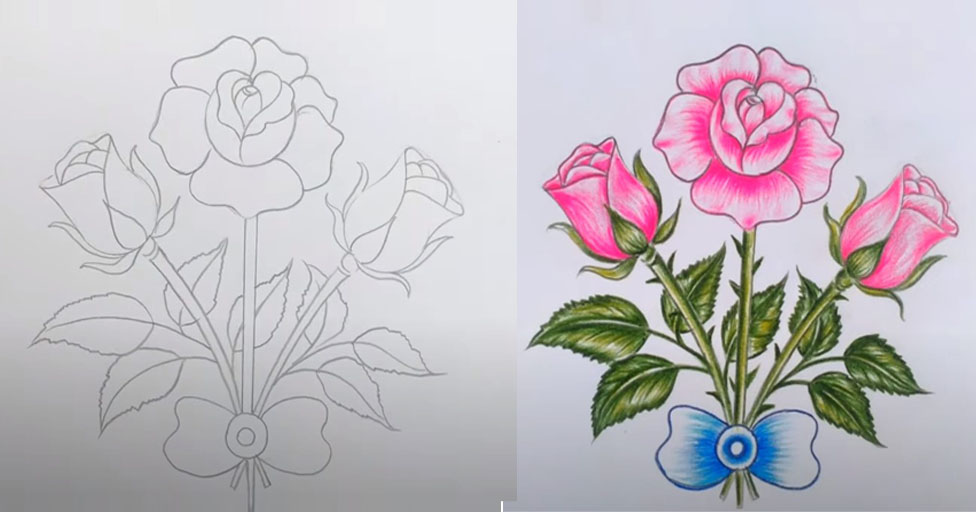 A sketch of roses in different colors