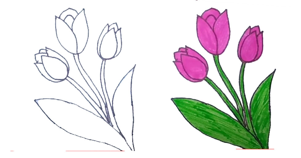 Síguelo mientras creas tus propios y hermosos dibujos de tulipanes, paso a paso.